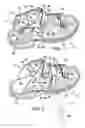Fig. 02 - Convertible sandal