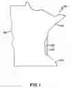 Fig. 02 - State turkey tail plaque