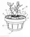Fig. 01 - Plant bowl