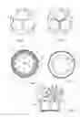 Fig. 03 - Plant bowl