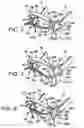 Fig. 03 - Horse-control device