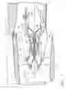 Fig. 02 - Counterrotating turbofan engine