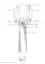 Fig. 06 - Pneumatic tool