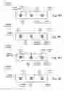 Fig. 06 - Systems for and methods of providing air purification in combination with odor elimination