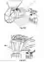 Fig. 23 - Automatic popcorn vending machine
