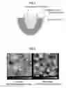 Fig. 03 - Method for producing single crystal of multi-element oxide single crystal containing bismuth as constituting element