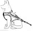 Fig. 01 - Animal harness