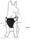 Fig. 02 - Animal harness