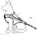 Fig. 03 - Animal harness