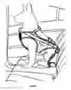 Fig. 06 - Animal harness
