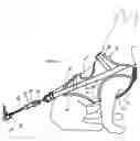 Fig. 04 - Animal harness