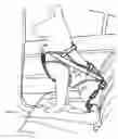 Fig. 06 - Animal harness