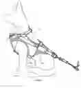Fig. 10 - Animal harness