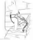 Fig. 14 - Animal harness