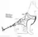 Fig. 15 - Animal harness