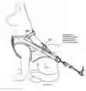 Fig. 16 - Animal harness