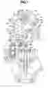 Fig. 02 - Valve operating apparatus of internal combustion engine