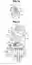 Fig. 14 - Valve operating apparatus of internal combustion engine
