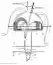Fig. 01 - Free-planetary gear moderated nutating (athena) engine
