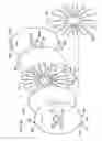 Fig. 15 - Tools and methods for making and using tools, blades and methods of making and using blades