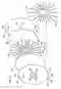 Fig. 11 - Tools and methods for making and using tools, blades and methods of making and using blades