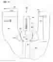 Fig. 29 - Tools and methods for making and using tools, blades and methods of making and using blades