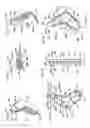 Fig. 37 - Tools and methods for making and using tools, blades and methods of making and using blades