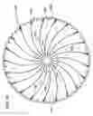 Fig. 45 - Tools and methods for making and using tools, blades and methods of making and using blades