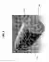 Fig. 07 - Air purifying escape hood