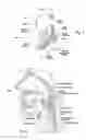 Fig. 03 - Magnetic devices, systems, and methods placed in or on a tongue