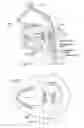 Fig. 05 - Magnetic devices, systems, and methods placed in or on a tongue
