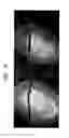 Fig. 07 - Method of making fabric-creped sheet for dispensers