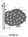 Fig. 02 - Methods of hydraulic fracturing and of propping fractures in subterranean formations