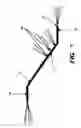 Fig. 08 - Apparatus for fire control