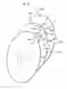 Fig. 26 - CLOSABLE PACKAGE FOR RETAINING MULTIPLE DISCS IN POUCH-TYPE HOLDERS OR DISC-RECEIVING TRAYS