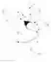 Fig. 02 - Screened gravity-fed funnel
