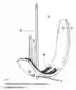 Fig. 02 - Universal sport board rack and hanging system