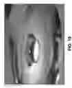 Fig. 12 - Method of forming composite, ordered material having sharp surface features