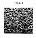 Fig. 02 - Implants with textured surface and methods for producing the same