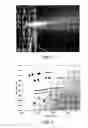 Fig. 04 - Method and apparatus for fine particle liquid suspension feed for thermal spray system and coatings formed therefrom