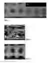 Fig. 05 - Method and apparatus for fine particle liquid suspension feed for thermal spray system and coatings formed therefrom