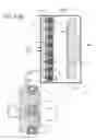 Fig. 41 - Plasma source with discharge inducing bridge and plasma processing system using the same