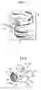 Fig. 02 - Fuser and image forming device