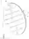 Fig. 02 - Microwave platform for generating marks on food products and method of using same