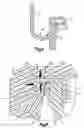 Fig. 04 - Container for holding a product