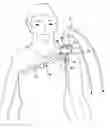 Fig. 01 - Carrying aid device