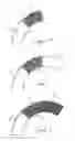 Fig. 02 - Insulated cup or container