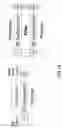 Fig. 17 - Rich object model for diverse auto-ID tags