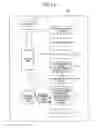 Fig. 21 - Mass spectrometric analysis method and system using the method