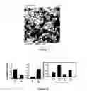 Fig. 05 - Statistical methods applied to surface chemistry in minerals flotation